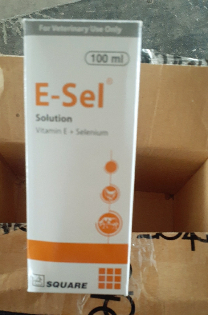 E-Sel - 100ml